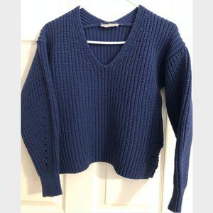 Everlane Cotton V-Neck Sweater XS